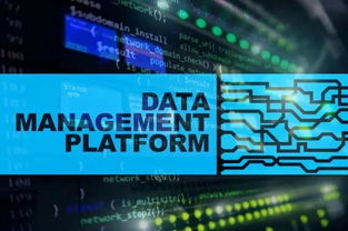 明略科技數(shù)據中臺的核心支點與行業(yè)落點